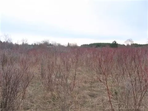 tbd Custer, Carsonville, MI 48419 photo 4