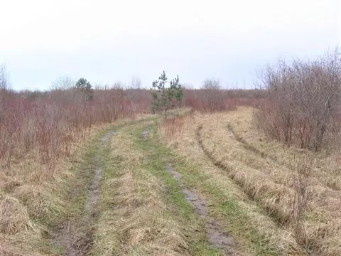 tbd Custer, Carsonville, MI 48419 photo 2