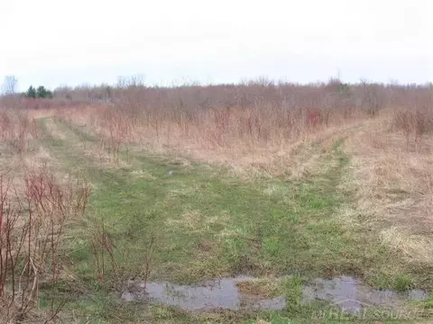 tbd Custer, Carsonville, MI 48419 photo 6