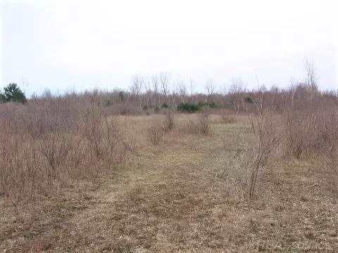 tbd Custer, Carsonville, MI 48419 photo 13