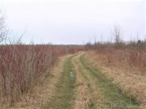 tbd Custer, Carsonville, MI 48419 photo 3