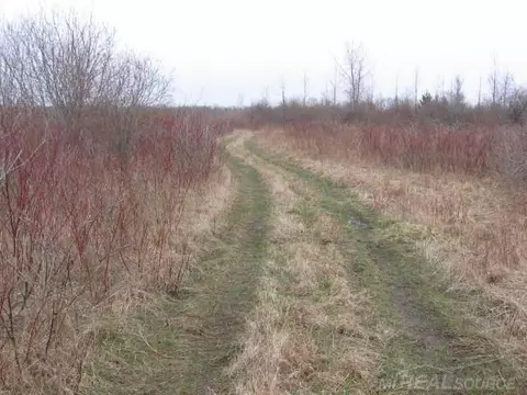 tbd Custer, Carsonville, MI 48419 photo 15