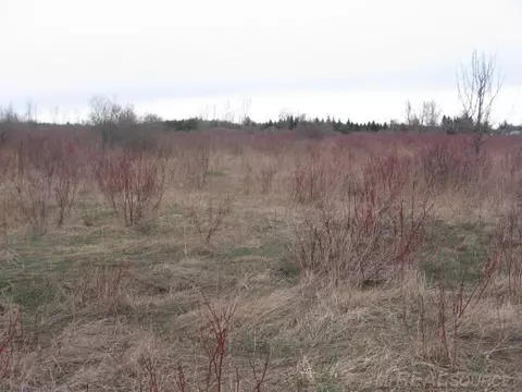 tbd Custer, Carsonville, MI 48419 photo 14