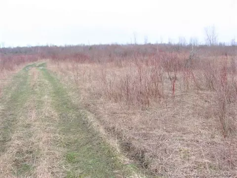 tbd Custer, Carsonville, MI 48419 photo 5