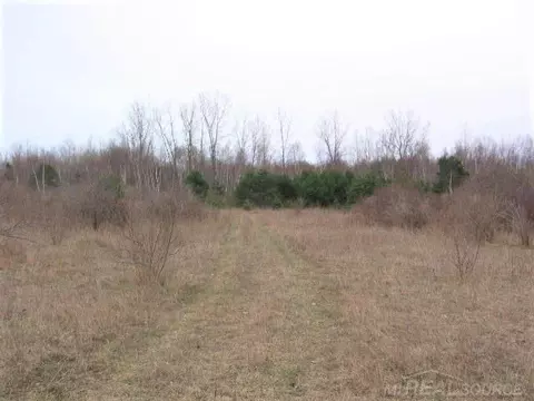 tbd Custer, Carsonville, MI 48419 photo 12