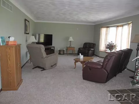 1651 Shepherd, Tecumseh, MI 49286 photo 8