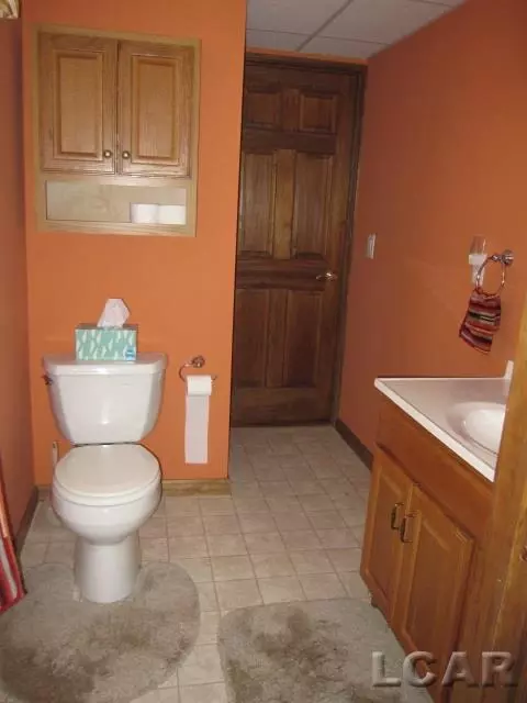 1651 Shepherd, Tecumseh, MI 49286 photo 24