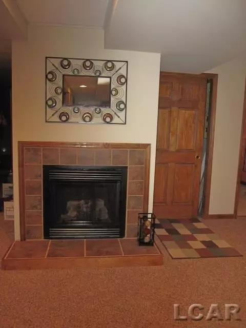 1651 Shepherd, Tecumseh, MI 49286 photo 22