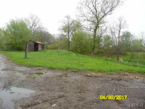 17241 Junction, Addison, MI 49220 photo 5