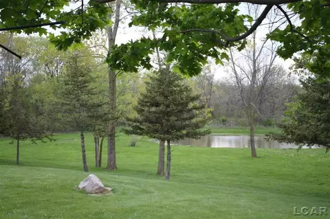 2700 E Munger, Tecumseh, MI 49286 photo 21