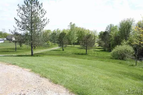 2700 E Munger, Tecumseh, MI 49286 photo 27