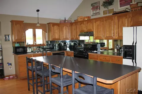 2700 E Munger, Tecumseh, MI 49286 photo 3