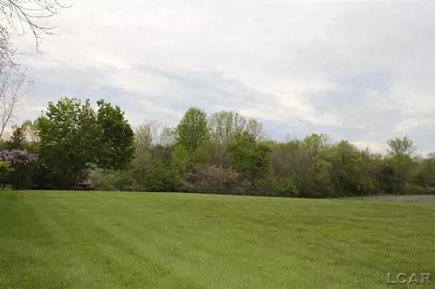 2700 E Munger, Tecumseh, MI 49286 photo 25