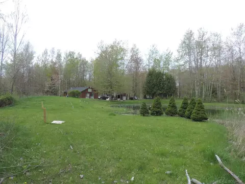 2165 Loree, Applegate, MI 48401 photo 34