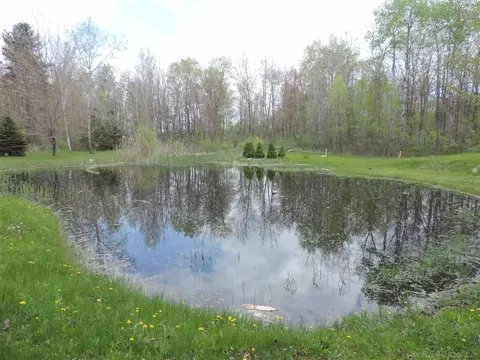 2165 Loree, Applegate, MI 48401 photo 7