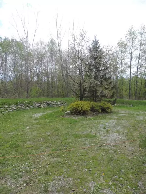 2165 Loree, Applegate, MI 48401 photo 28