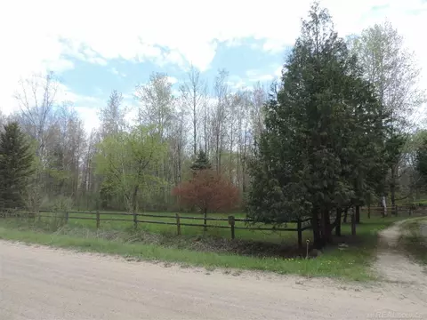 2165 Loree, Applegate, MI 48401 photo 31