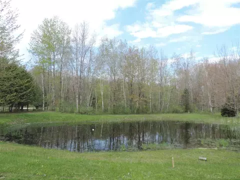 2165 Loree, Applegate, MI 48401 photo 9