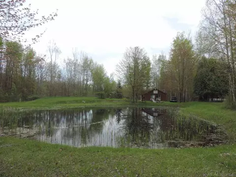 2165 Loree, Applegate, MI 48401 photo 8