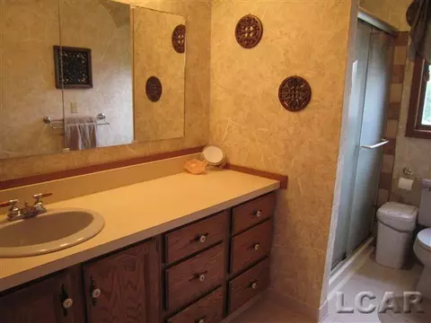 722 E Caneel, Tecumseh, MI 49286 photo 18