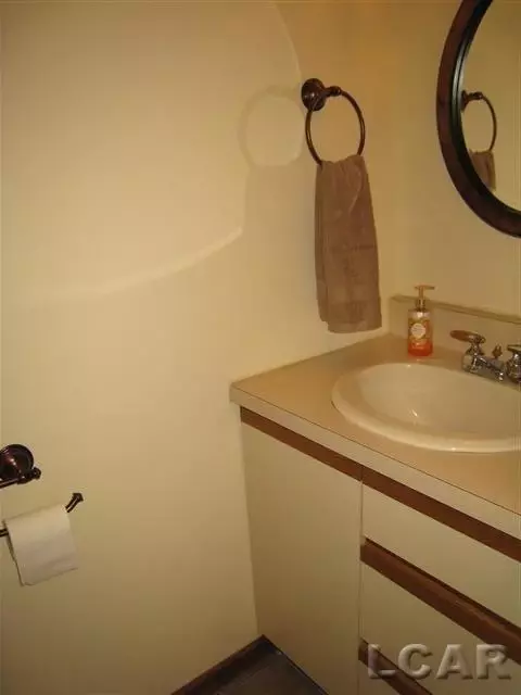 722 E Caneel, Tecumseh, MI 49286 photo 14
