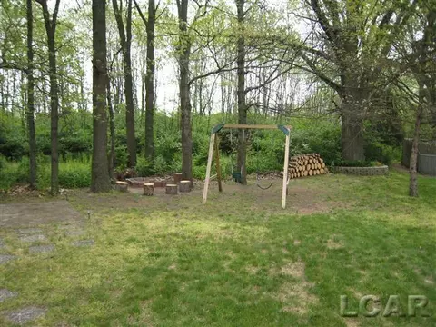 722 E Caneel, Tecumseh, MI 49286 photo 4