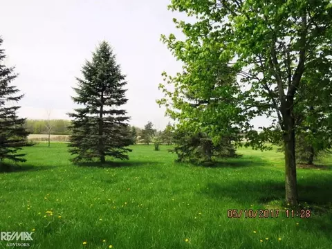 4350 Shutt, Capac, MI 48014 photo 11
