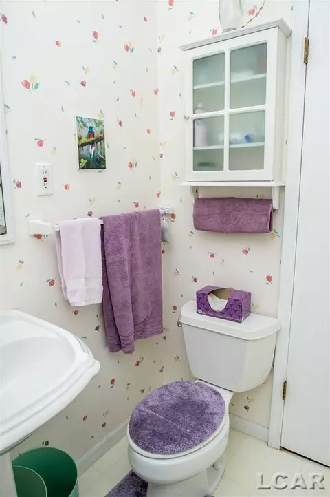962 Vine, Adrian, MI 49221 photo 26