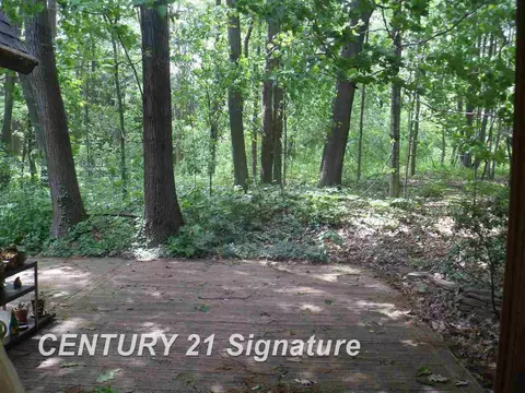 4647 N Hemlock, Hemlock, MI 48626 photo 9