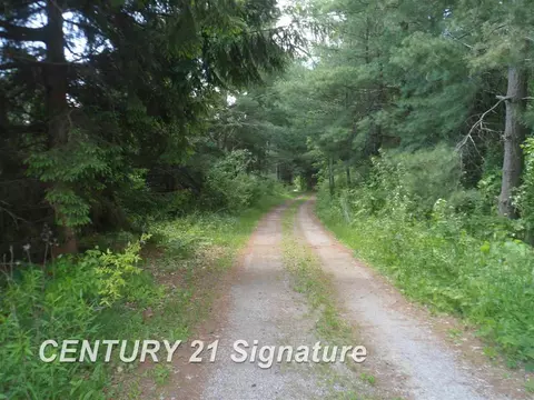 4647 N Hemlock, Hemlock, MI 48626 photo 2