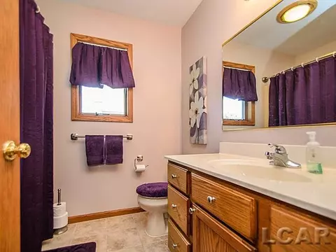 812 Stetson, Tecumseh, MI 49286 photo 19