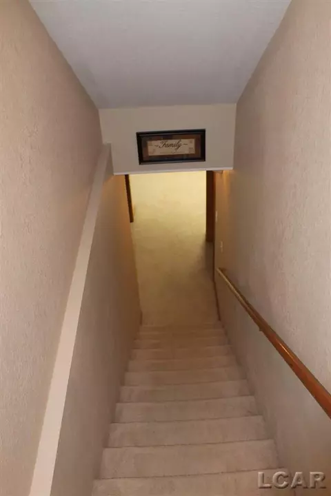 812 Stetson, Tecumseh, MI 49286 photo 23