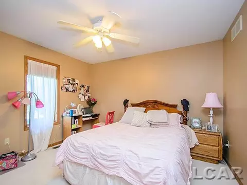 812 Stetson, Tecumseh, MI 49286 photo 18
