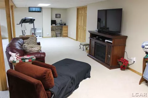 812 Stetson, Tecumseh, MI 49286 photo 29