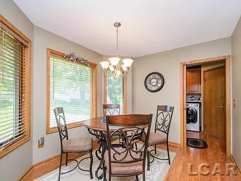 812 Stetson, Tecumseh, MI 49286 photo 10