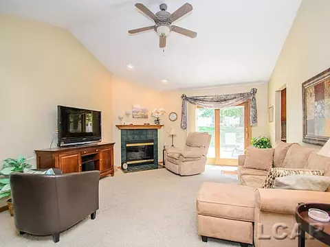 812 Stetson, Tecumseh, MI 49286 photo 5