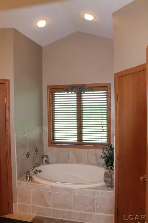 812 Stetson, Tecumseh, MI 49286 photo 14