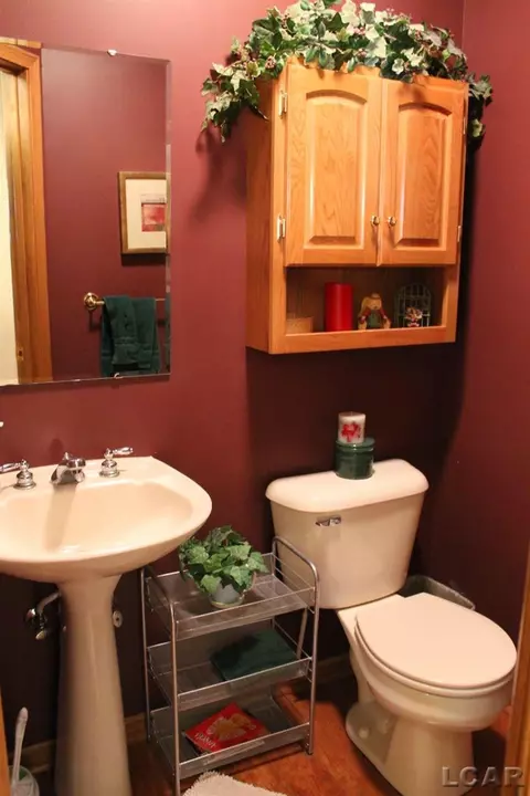 812 Stetson, Tecumseh, MI 49286 photo 22