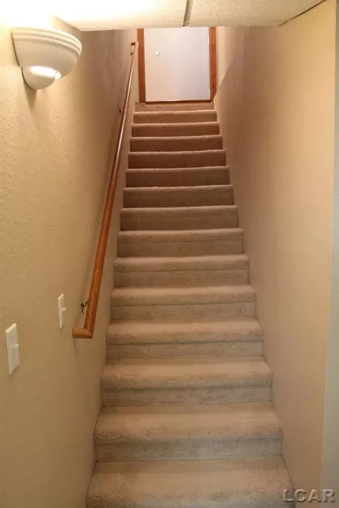 812 Stetson, Tecumseh, MI 49286 photo 30