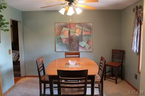 812 Stetson, Tecumseh, MI 49286 photo 17
