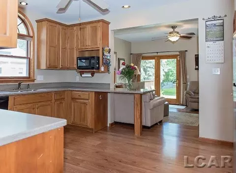 209 E Shawnee, Tecumseh, MI 49286 photo 30