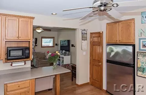 209 E Shawnee, Tecumseh, MI 49286 photo 28