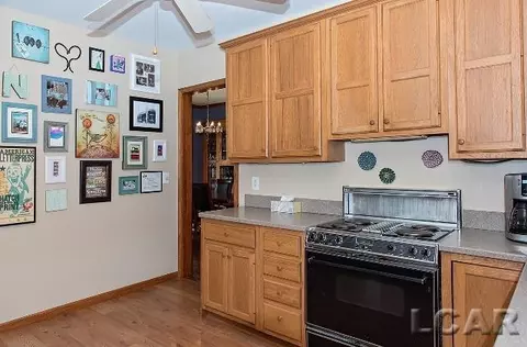 209 E Shawnee, Tecumseh, MI 49286 photo 29