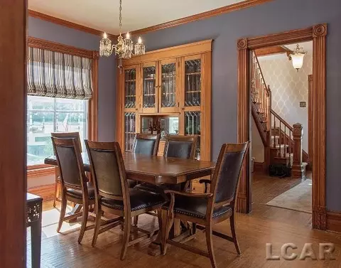 209 E Shawnee, Tecumseh, MI 49286 photo 22