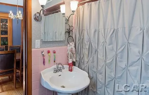209 E Shawnee, Tecumseh, MI 49286 photo 40