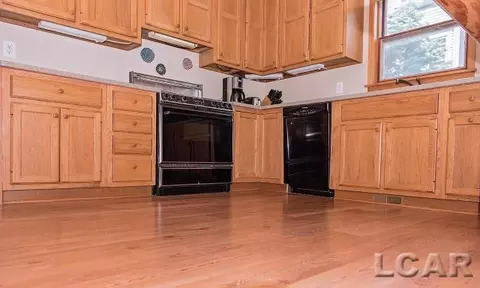 209 E Shawnee, Tecumseh, MI 49286 photo 31