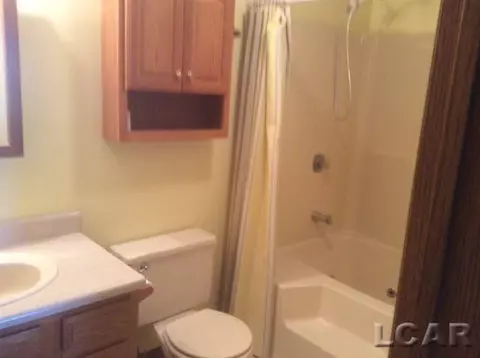 2308 E Gorman, Adrian, MI 49221 photo 10
