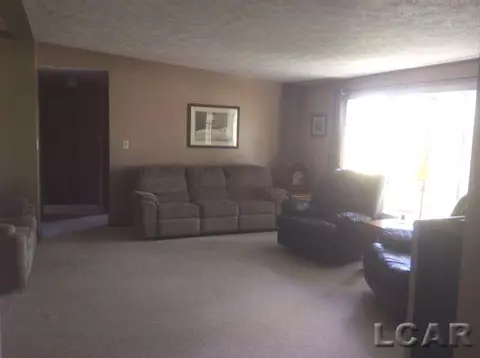 2308 E Gorman, Adrian, MI 49221 photo 6