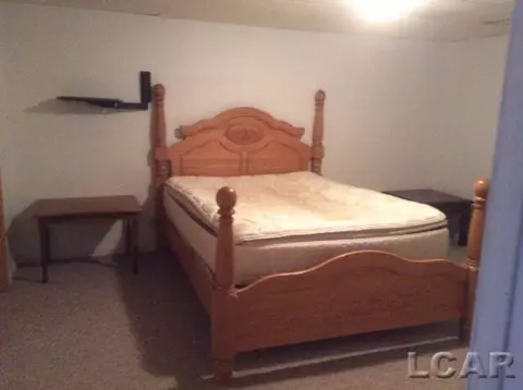 2308 E Gorman, Adrian, MI 49221 photo 16