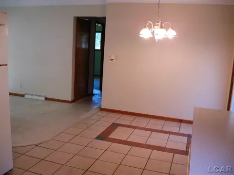 703 Brook, Tecumseh, MI 49286 photo 15